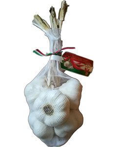 ungarischer Knoblauch normal